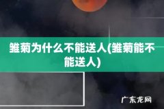 雏菊能不能送人 雏菊为什么不能送人