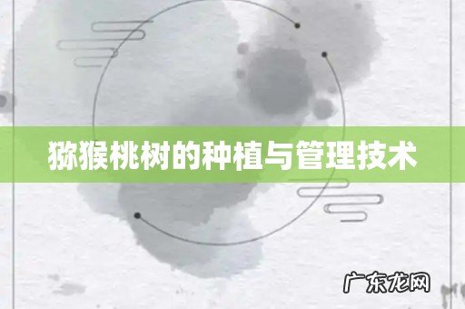 猕猴桃树的种植与管理技术