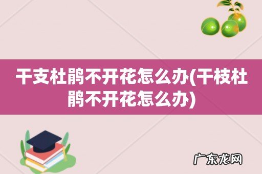 干枝杜鹃不开花怎么办 干支杜鹃不开花怎么办