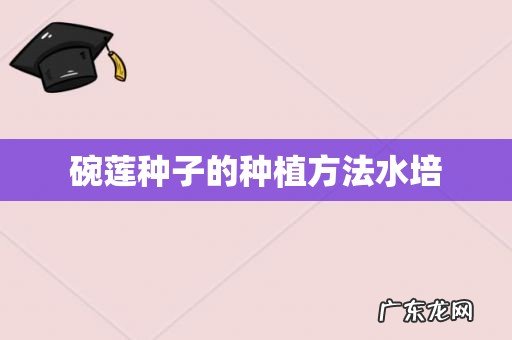 碗莲种子的种植方法水培