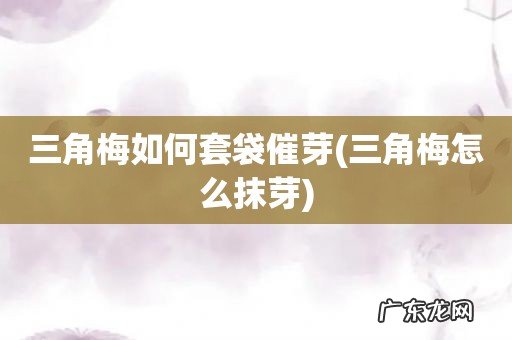 三角梅怎么抹芽 三角梅如何套袋催芽