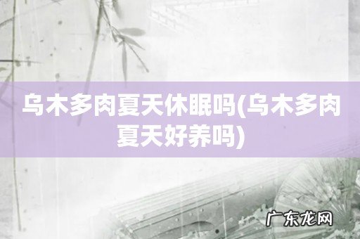 乌木多肉夏天好养吗 乌木多肉夏天休眠吗