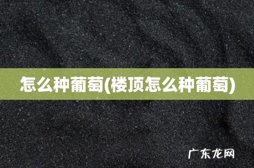 楼顶怎么种葡萄 怎么种葡萄