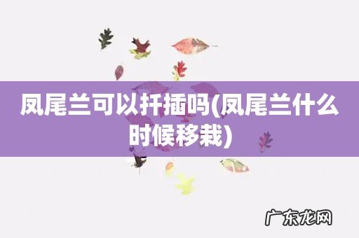 凤尾兰什么时候移栽 凤尾兰可以扦插吗