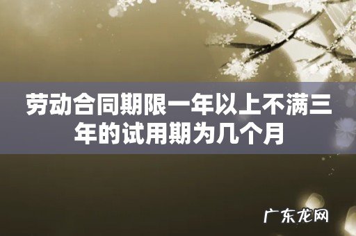 劳动合同期限一年以上不满三年的试用期为几个月