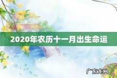 2020年农历十一月出生命运