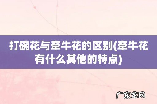 牵牛花有什么其他的特点 打碗花与牵牛花的区别