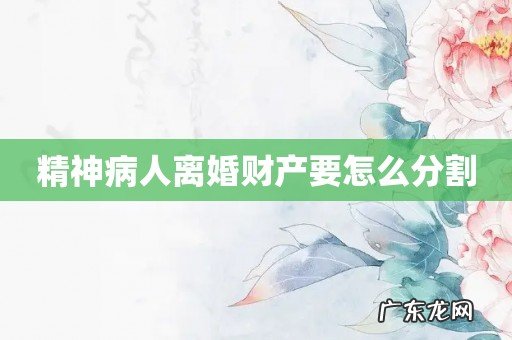 精神病人离婚财产要怎么分割