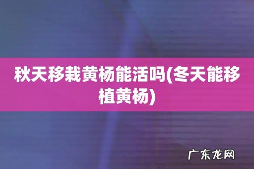 冬天能移植黄杨 秋天移栽黄杨能活吗