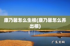 康乃馨怎么养出根 康乃馨怎么生根