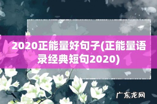 正能量语录经典短句2020 2020正能量好句子