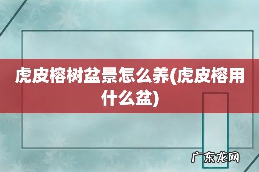 虎皮榕用什么盆 虎皮榕树盆景怎么养