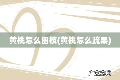 黄桃怎么疏果 黄桃怎么留枝