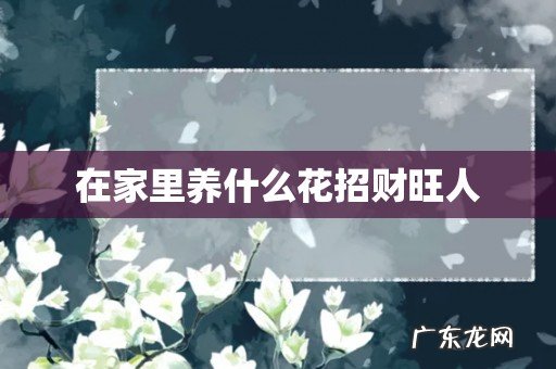 在家里养什么花招财旺人