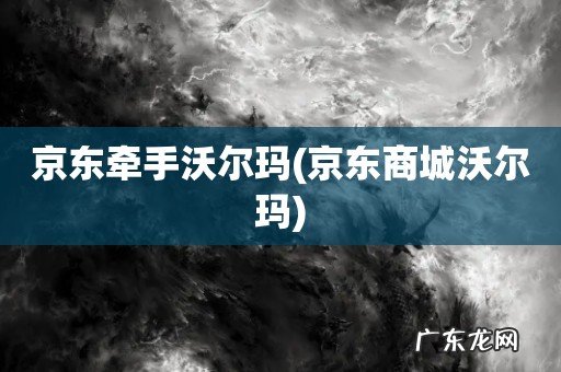 京东商城沃尔玛 京东牵手沃尔玛
