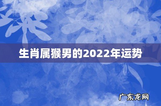 生肖属猴男的2022年运势
