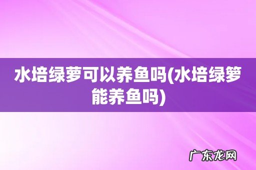 水培绿箩能养鱼吗 水培绿萝可以养鱼吗