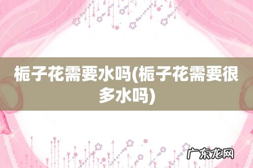 栀子花需要很多水吗 栀子花需要水吗