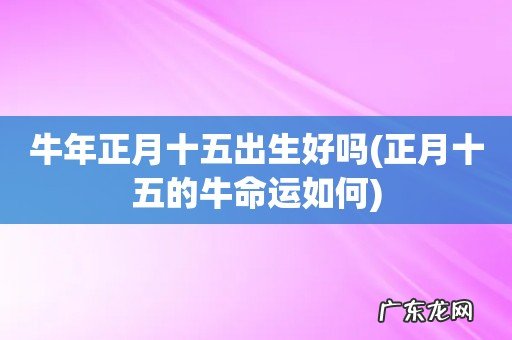 正月十五的牛命运如何 牛年正月十五出生好吗