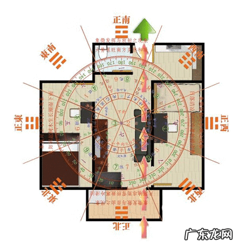 女命亥卯未合木局好吗 风水亥卯未合木局详解