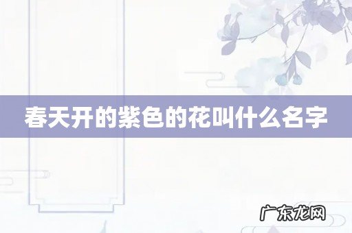 春天开的紫色的花叫什么名字