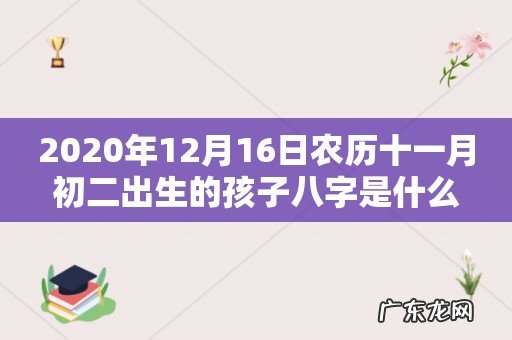 2020年12月16日农历十一月初二出生的孩子八字是什么