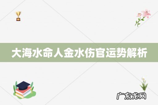 大海水命人金水伤官运势解析
