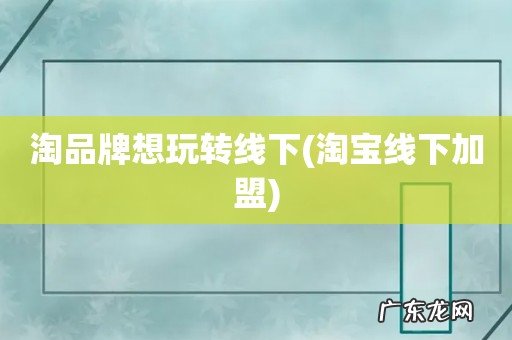 淘宝线下加盟 淘品牌想玩转线下