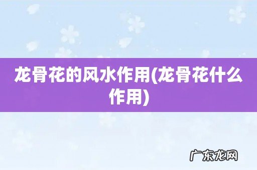 龙骨花什么作用 龙骨花的风水作用