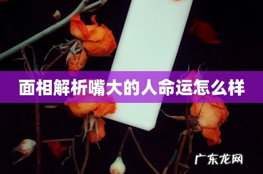 面相解析嘴大的人命运怎么样