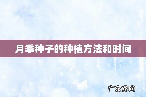 月季种子的种植方法和时间