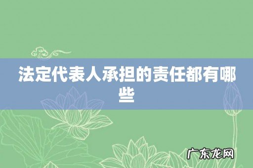 法定代表人承担的责任都有哪些