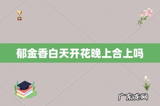 郁金香白天开花晚上合上吗