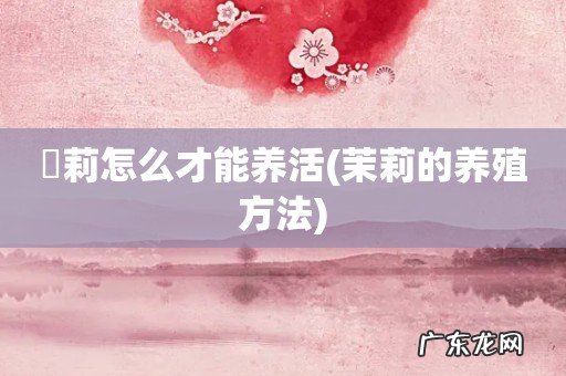 茉莉的养殖方法 苿莉怎么才能养活