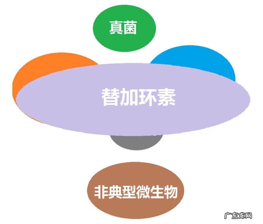 一类切口名词解释 一类切口是什么意思