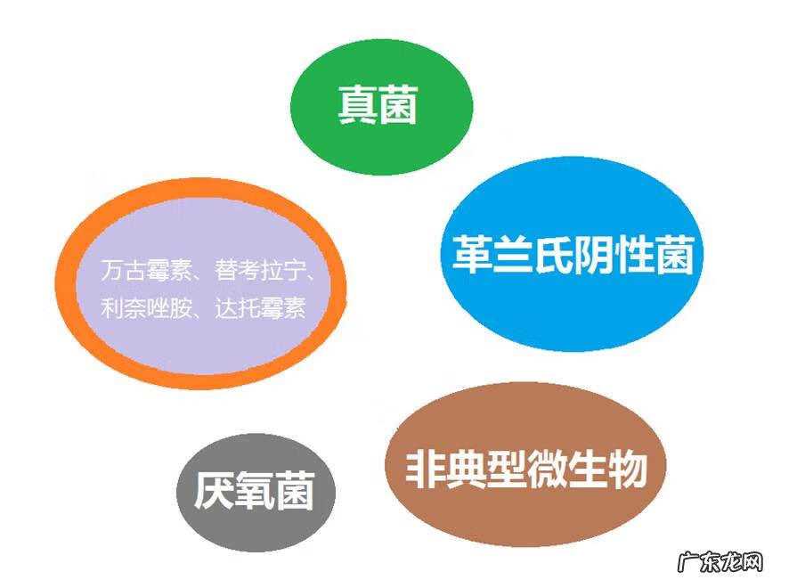 一类切口名词解释 一类切口是什么意思