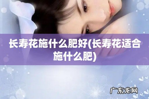 长寿花适合施什么肥 长寿花施什么肥好