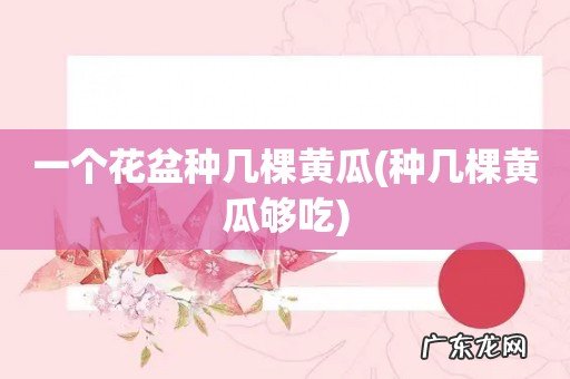 种几棵黄瓜够吃 一个花盆种几棵黄瓜