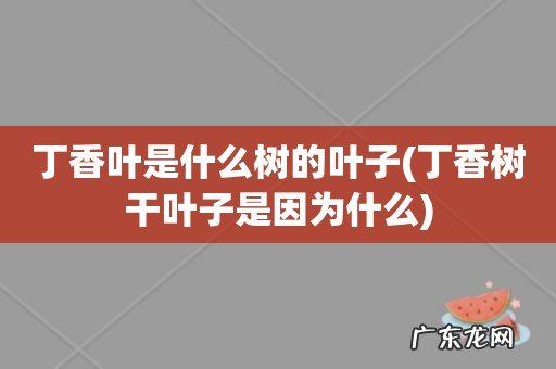 丁香树干叶子是因为什么 丁香叶是什么树的叶子