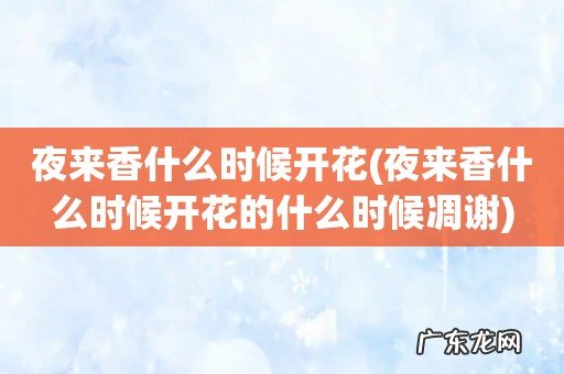夜来香什么时候开花的什么时候凋谢 夜来香什么时候开花