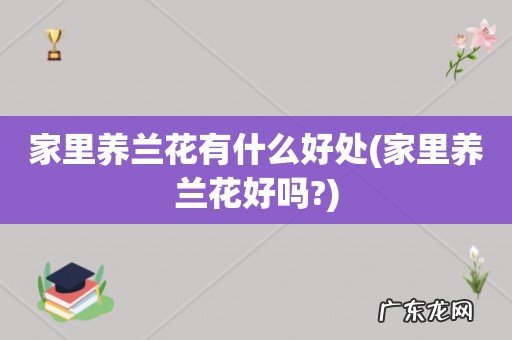 家里养兰花好吗? 家里养兰花有什么好处