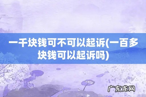 一百多块钱可以起诉吗 一千块钱可不可以起诉