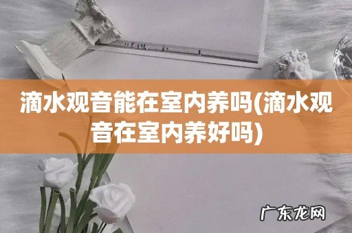 滴水观音在室内养好吗 滴水观音能在室内养吗