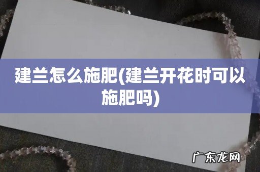 建兰开花时可以施肥吗 建兰怎么施肥