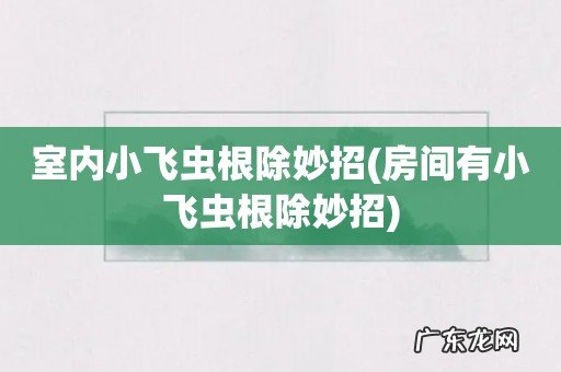 房间有小飞虫根除妙招 室内小飞虫根除妙招