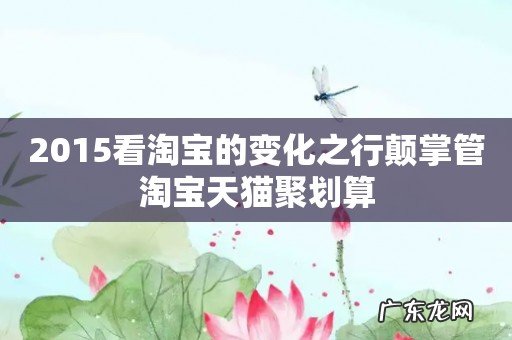 2015看淘宝的变化之行颠掌管淘宝天猫聚划算