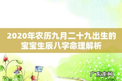 2020年农历九月二十九出生的宝宝生辰八字命理解析