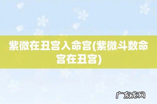 紫微斗数命宫在丑宫 紫微在丑宫入命宫