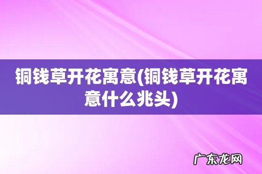 铜钱草开花寓意什么兆头 铜钱草开花寓意