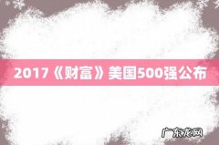 2017《财富》美国500强公布